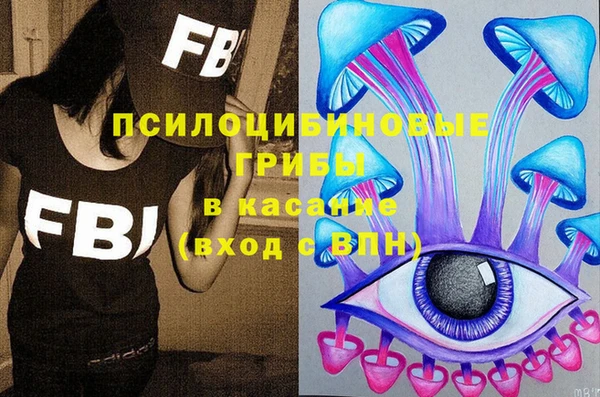 твердый Аркадак